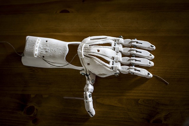 Future of 3D Printed Prosthetics